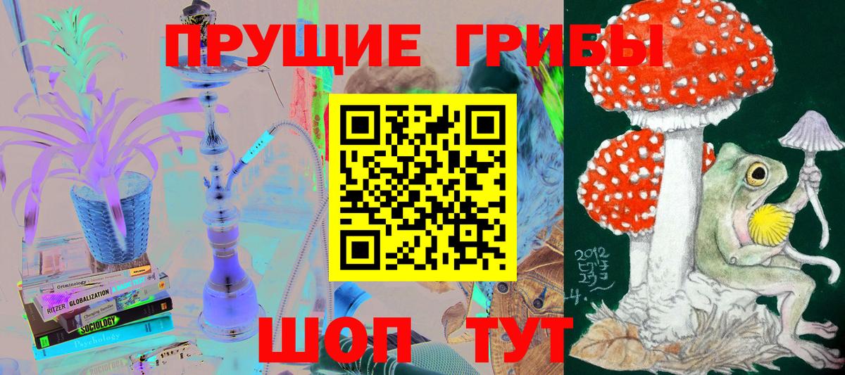 Псилоцибиновые грибы Cubensis Красноармейск