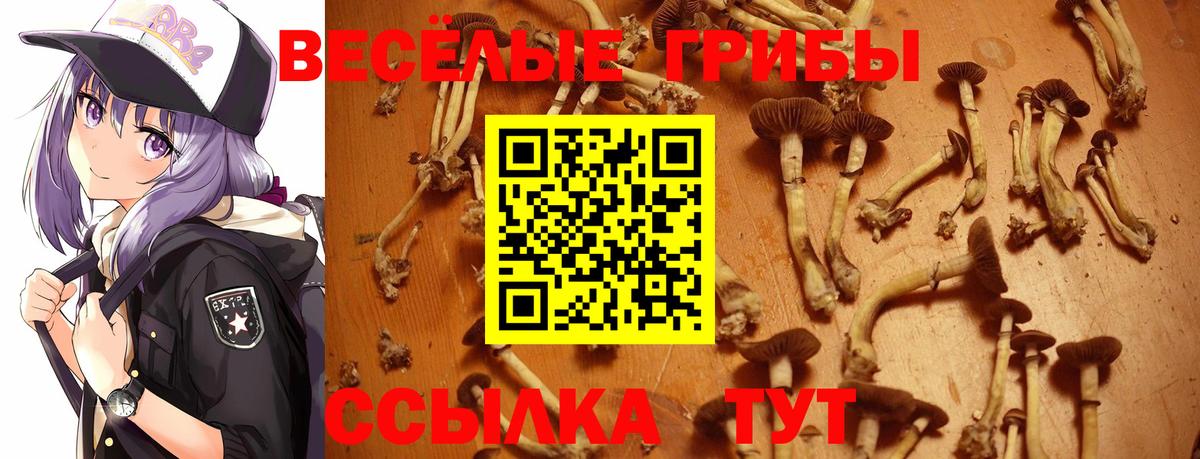 Галлюциногенные грибы Cubensis  Вход с VPN  Красноармейск  Галлюциногенные грибы MAGIC MUSHROOMS 